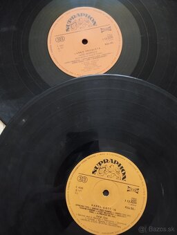 Rozlicne LP platne - 13