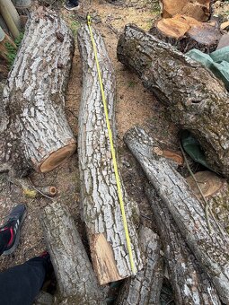 Orechové drevo - 13