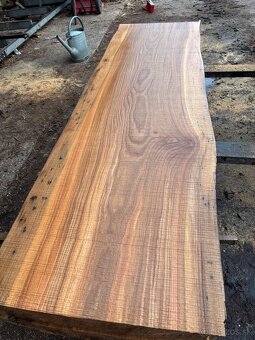 Rezivo Brest Brestove Fošne Kmene Drevo - 13