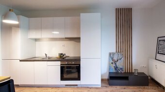Apartmán v pavčinej lehote -Demänovská dolina-Jasná - 13