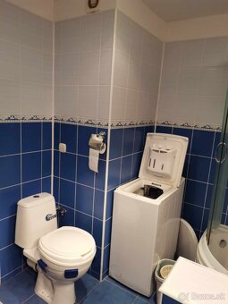 Veľký, 2 izbový, loggia - 13