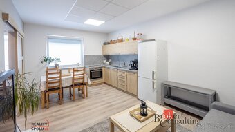 Rodinný dom: 4i-byt s terasou + garsónka,  2x obchodné pries - 13