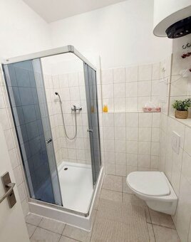 Výborná ponuka -2 izb.byt po komplet.rekonštrukcii s výťahom - 13