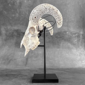 Vyrezávaná lebka barana na kovovom stojane - motív Infinity - 13