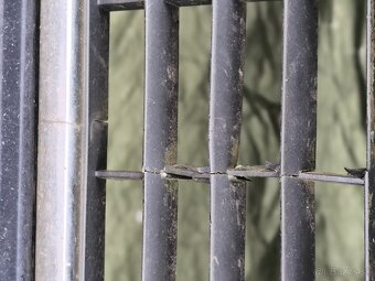 Predný nárazník Audi A4 C6 4f - 13