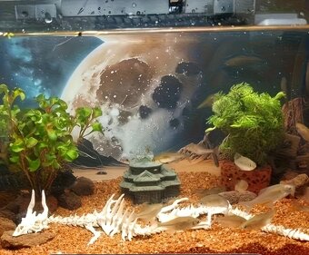 Dekorácie aquaria repliky - 13