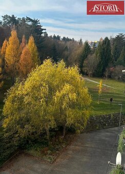 PRENÁJOM 2 izbový byt Žilina Rosinská cesta - 13