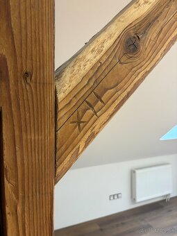 PRENÁJOM- PRIESTORY NITRA VILA NA ČÍNEŠI CENTRUM - 13