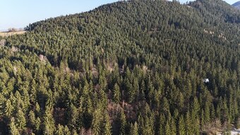 Na predaj chata Ružomberok, Hrabovo (apartmány Hrabovo) - 13