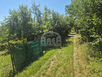 Pozemok v záhradkárskej oblasti Sečovce, časť Vinice - 13