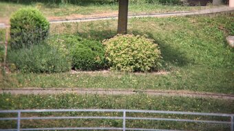 Ďalekohľad BPC3 12X40 TENTO - 13