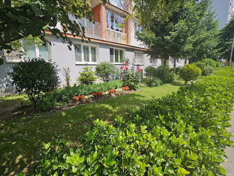 RESERVED - Prenájom bytu 2-izbový bez realitky - Astrova - 13