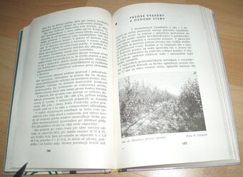 Rez a tvarovanie ovocných drevín - 13