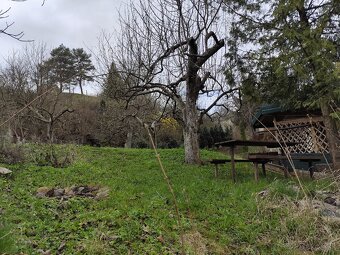 Zahradka s pivnicou - Pod Kalvariou - 13