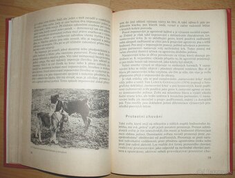 Poznej svého psa - 13