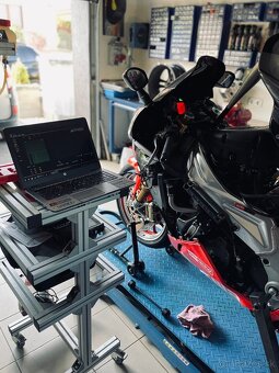 APRILIA RSV1000R FACTORY - 13