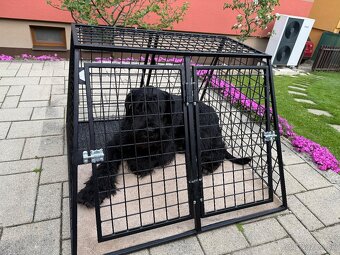 Prepravka pre psa (dvojbox) - 13