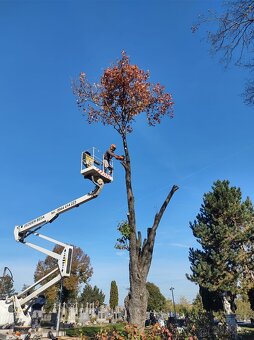Stavebné a záhradnícke práce - 13