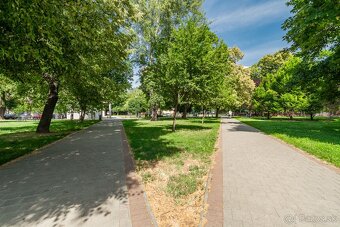 Na prenájom | 1 izbový byt - Trenčianska | Nivy - 13