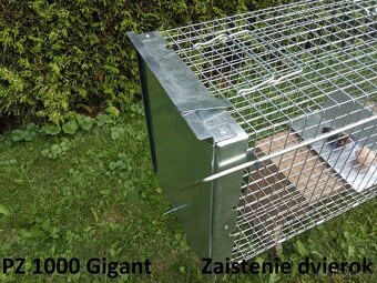 Pasca na líšky, kuny a túlavé mačky - 13