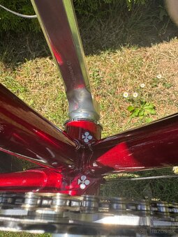 Colnago Nuovo Mexico - 13