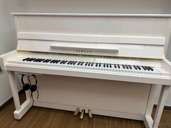 Piano Yamaha (silent) - 13