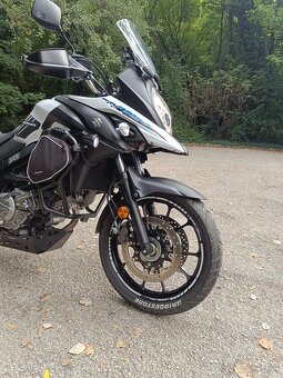 Suzuki v strom - 13