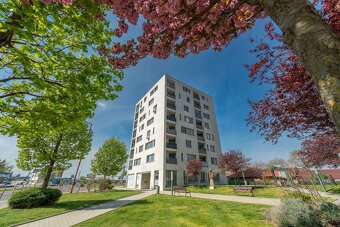 Novostavba 2 izbového bytu s loggiou a garážou - 13