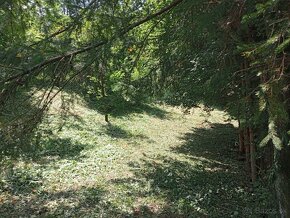 Štiepkovanie, kosenie, čistenie pozemkov, preprava materiálu - 13