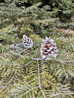 šiškové ozdoby Vianoce - 13