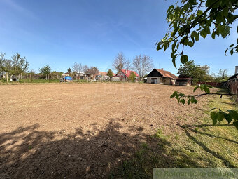 Starý sedliacky dom s veľkým pozemkom v Kolte – ideálna pr - 13