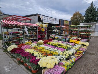 OBCHODNÝ PRIESTOR BERNOLÁKOVO - 13