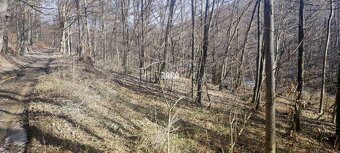 ŠUGOV-ŠUGOVSKÁ DOLINA, INVESTIČNÝ veľkorysý pozemok 3716 m2. - 13