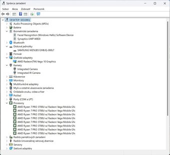 Thinkpad T495/Ryzen 7 Pro 3700U/16GB RAM/FHD IPS/512GB SSD_ - 13