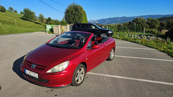 Kabriolet / Kabrio Peugeot 307cc - 2,0 benzín / LPG / Plyn - 13