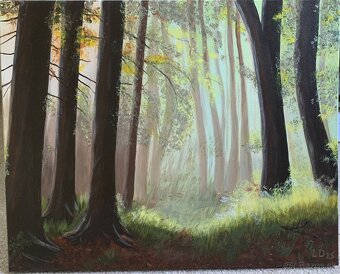 Obrazy originály - 13