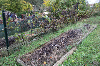 SPEKTRUM REALITY- Na Predaj záhrada 312 m2,, záhradkárska os - 13