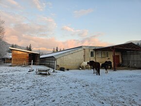 ustajnenie koni, vychadzky vodenie pre deti - 13