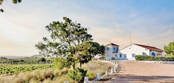 Španělsko – Torrevieja, La Mata (Avenida Torreblanca) - 13