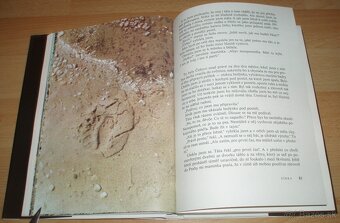 Černý sobol, hnědý medvěd - 13