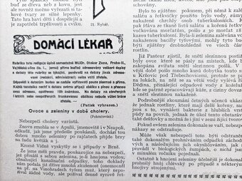 Časopisy ŠŤASTNÝ DOMOV, Rakousko-Uhersko 1911, svázaný - 13