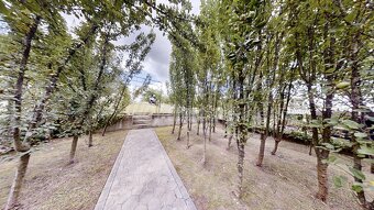 Murovaná chatka vo Vinici s vlastným pozemkom - 13