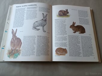 Pestrá priroda - 13
