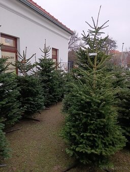 Milovníci kvetov POZOR Odstúpenie záhradníctva - 13