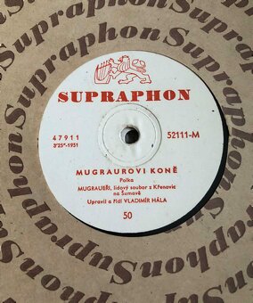 STAROŽITNÉ ORIGINÁLNE GRAMOFÓNOVÉ DOSKY - 13