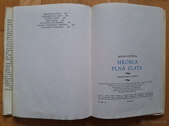Hrobla plna zlata - 13