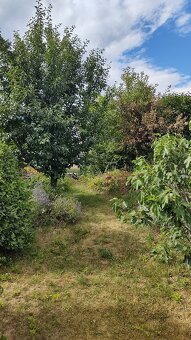 ČAŇA JAZERO / CHATA NA PREDAJ - 13