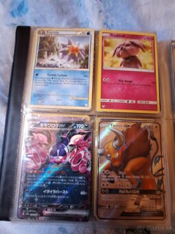 Pokémon Album - 13