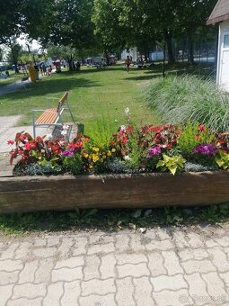 Balaton, dovolená - 13