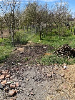 Štiepkovanie konarov - 13